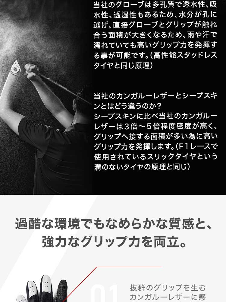 SP LP 08