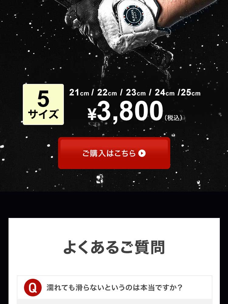 SP LP 10