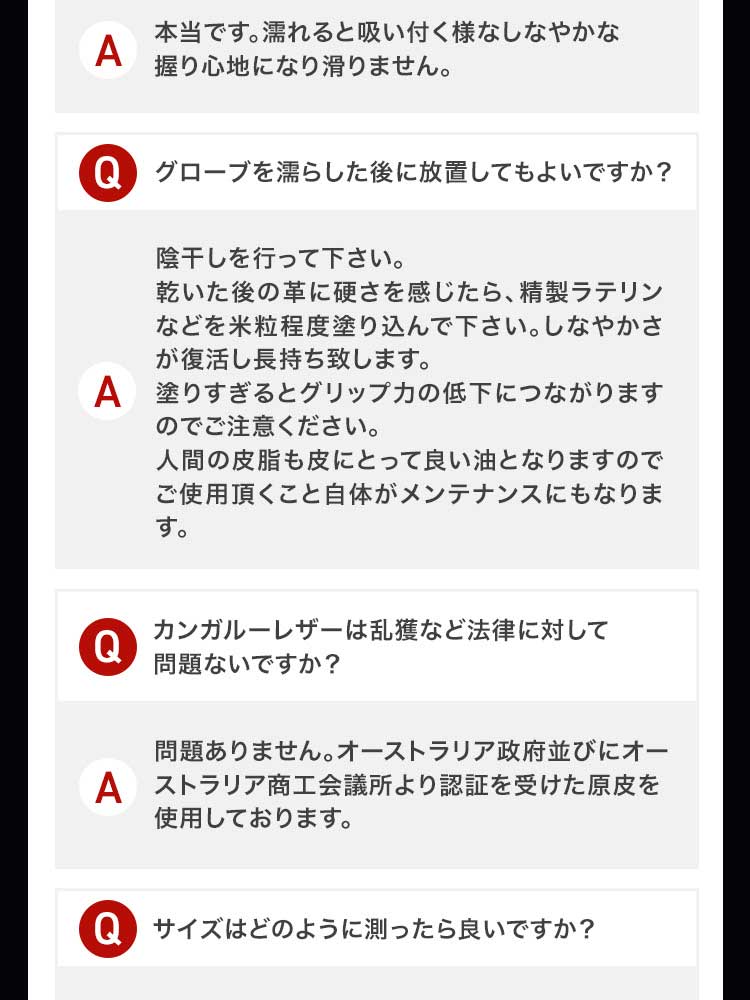 SP LP 11